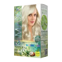 MAXX DELUXE AMMONIA FREE HAIR DYE KIT  0.1